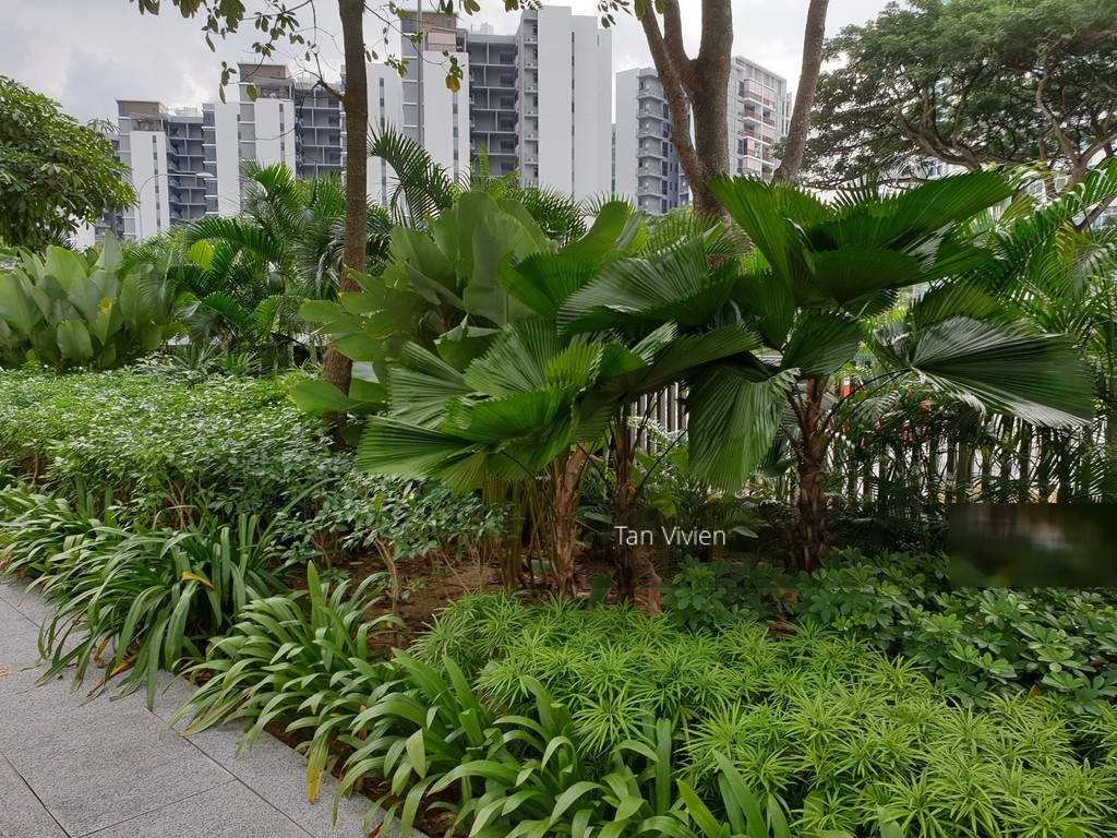 Skies Miltonia (D27), Condominium #208253901